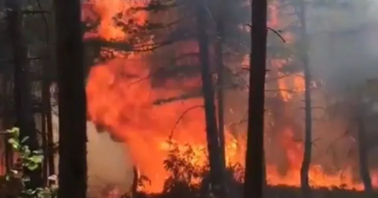 Reşadiye’de yangın yeniden başladı