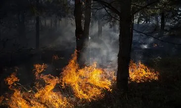 Edirne’de ormanlık alanda yangın çıktı! Söndürme çalışmaları sürüyor