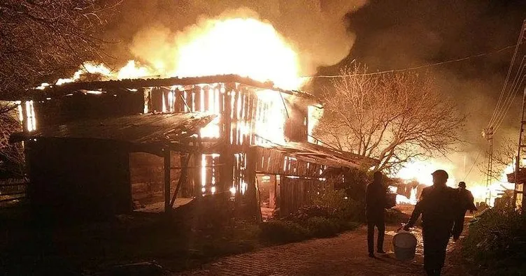 Köyde çıkan yangında 8 ev kül oldu