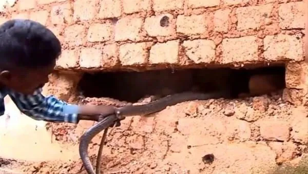 Duvarın içinden bakın ne çıktı!
