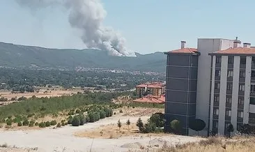 Muğla’da iki orman yangını çıktı!