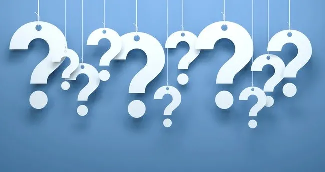 Deniz Anası Nasıl Yazılır? TDK’ye Göre Denizanası Ayrı Mı Bitişik Mi Yazılır?