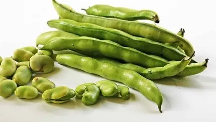 Bakla Nasıl Pişirilir? Zeytinyağlı Taze Bakla Nasıl Yapılır Ve Kaç Dakika Pişer? - Yemek Haberleri