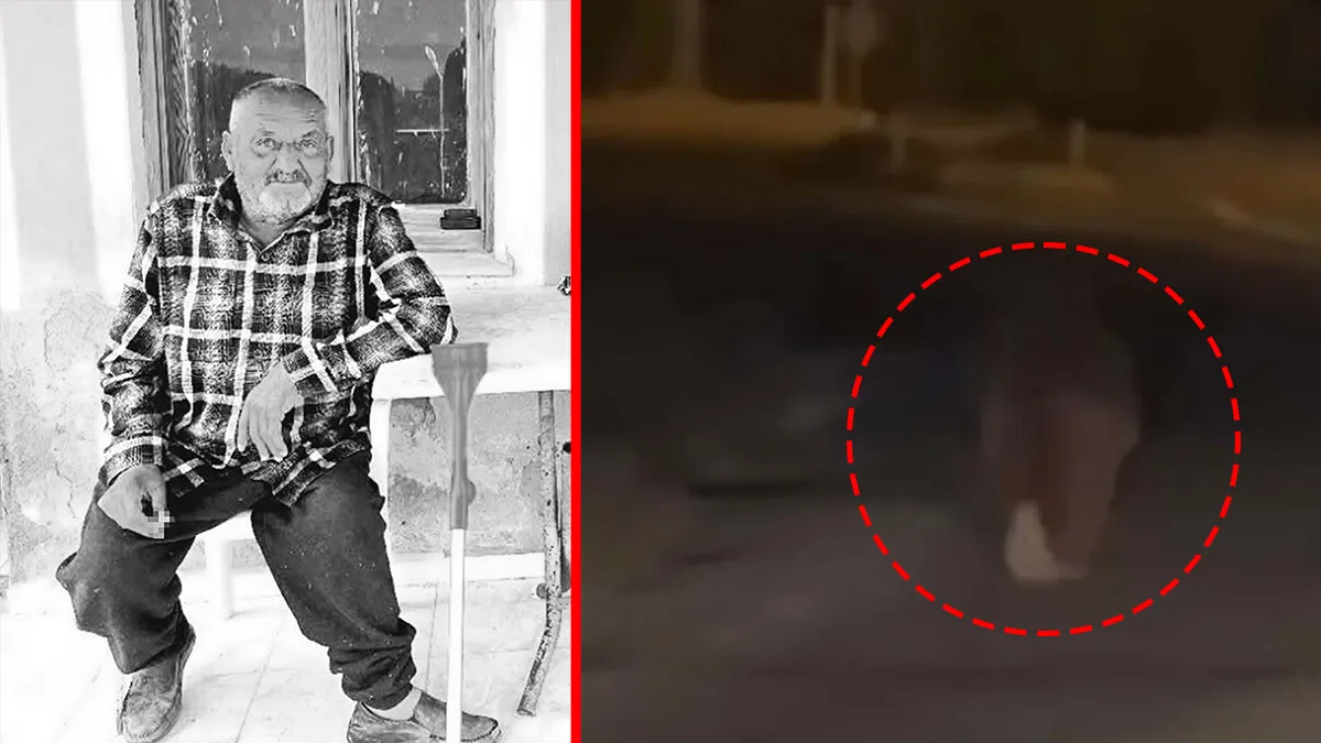 Seferihisar'da ayı saldırısı sonucu yaralanan Osman Gültaş hastaneye kaldırıldı.