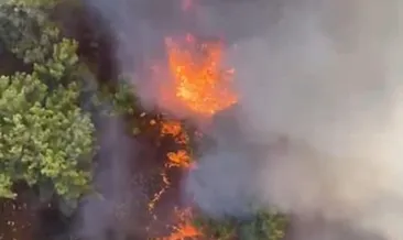 Antalya Aksu’da orman yangını
