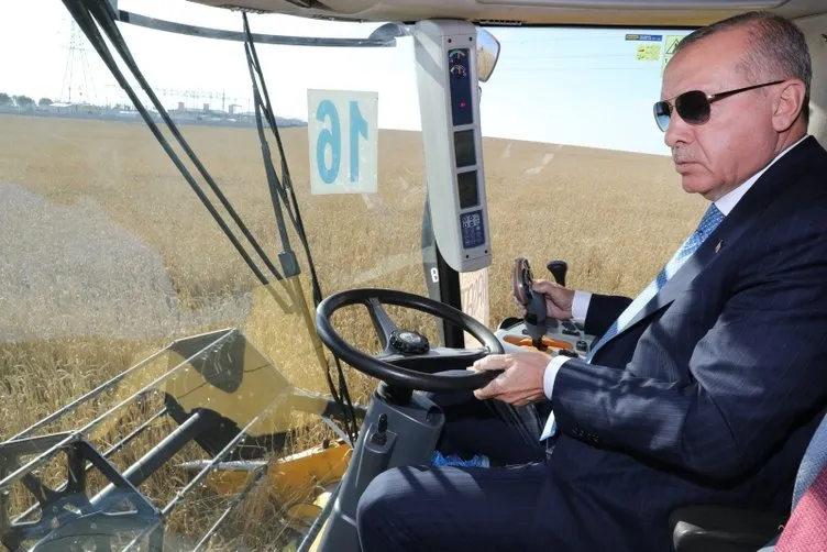 Başkan Erdoğan  Geleneksel Hasat Bayramı kapsamında buğday hasadı yaptı