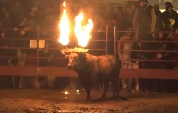 Böyle bir vahÅet görülmedi... Diri diri yaktılar...