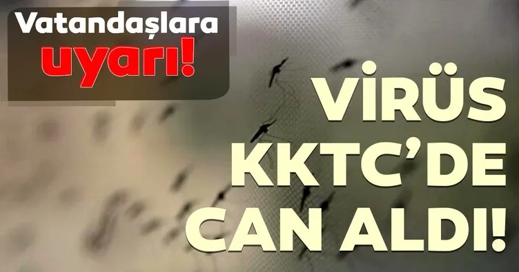 Batı Nil virüsü KKTC’de can aldı