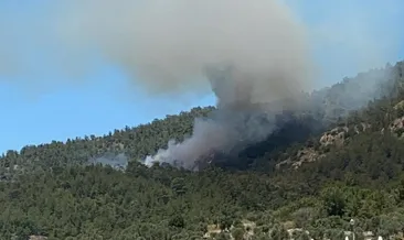 Çökertme Koyu’nda yangın