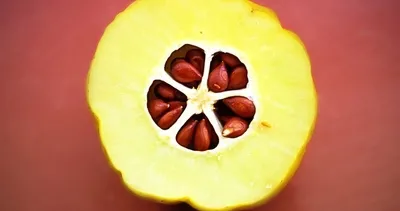 Bu besin iştahı bıçak gibi kesiyor!