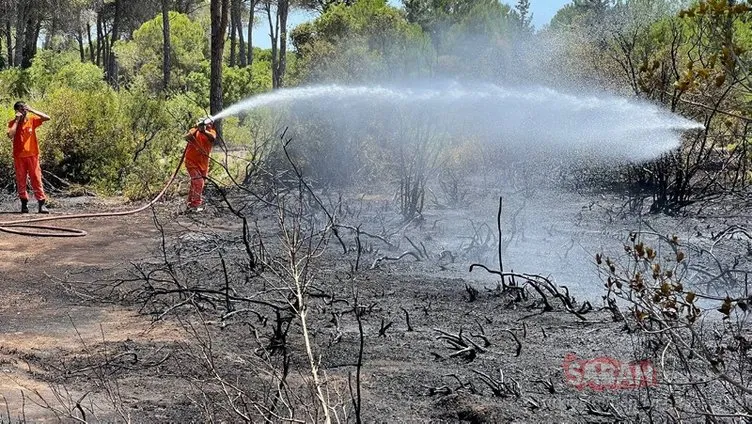 SABAH yerinde inceledi: Yeşil vatan emin ellerde! Yangın Takip Merkezi 7/24 ormanları gözetliyor