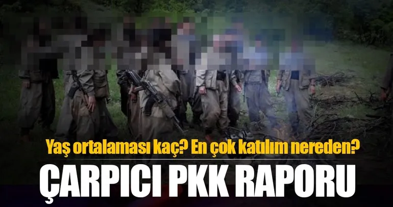 İçişleri’nden çarpıcı PKK raporu!