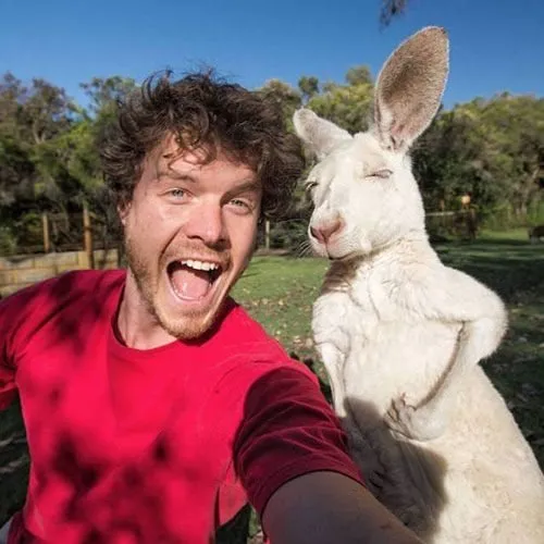 Hayvanlarla ’Selfie’nin Ustası