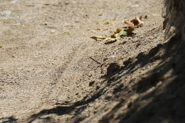 Sürü sahibini ıskaladı: Araya giren çoban öldü! Cinayette korkunç detaylar!