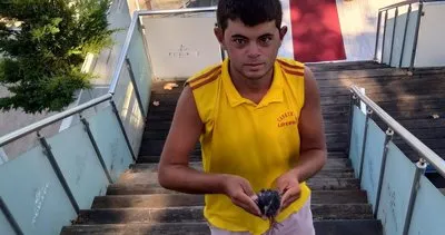 Akçakoca’da martı saldırısına uğrayan güvercin tedavi altına alındı #duzce