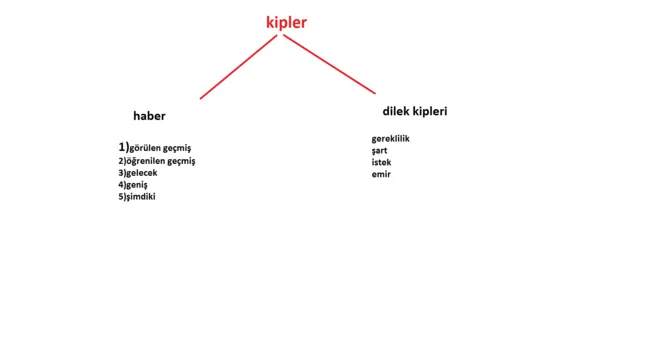 Basit kipler nedir?