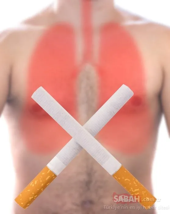 Akciğer kanserine dikkat! İşte akciğer kanserinden korunmanın yolları...