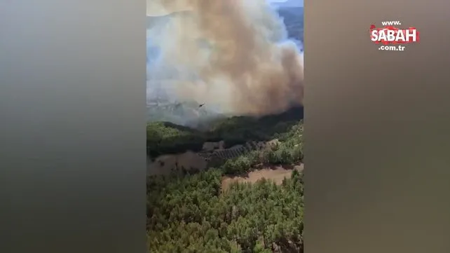 Muğla’da orman yangını rüzgarın etkisiyle büyüdü! Tüm ekipler seferber edildi | Video