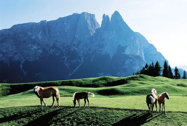 UNESCO Dünya Miras Listesi