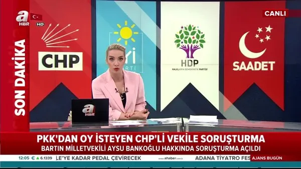 PKK'ya oy çağrısında bulunan CHP'li vekil Aysu Bankoğlu'na soruşturma açıldı!