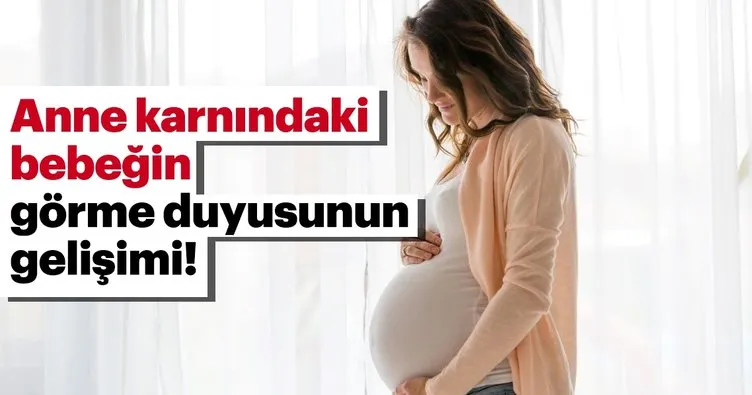anne karnindaki bebegin gorme duyusunun gelisimi bebek haberleri