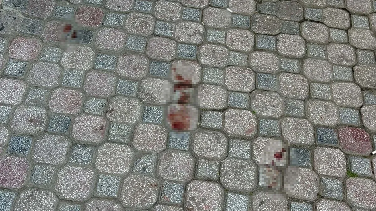 Manisa’da arkadaş dehşeti: Birlikte alkol alıyorlardı! Arkadaşını öldürdü… Manisa’da arkadaş dehşeti: Birlikte alkol alıyorlardı! Arkadaşını öldürdü…