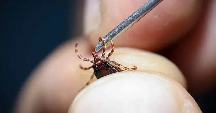 Keneyi elle çıkarmayın