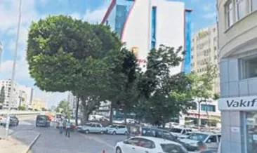 Melih ABİ: Orman yakmakla ağaç kesmek arasında ne fark var?