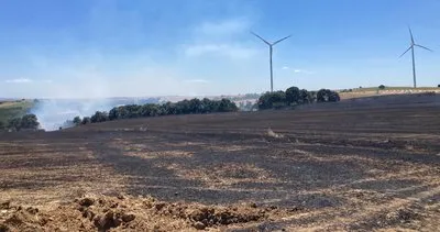 Tekirdağ'da 20 dönüm buğday tarlası küle döndü #tekirdag