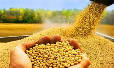 Türkiye tarımı masaya yatırılıyor