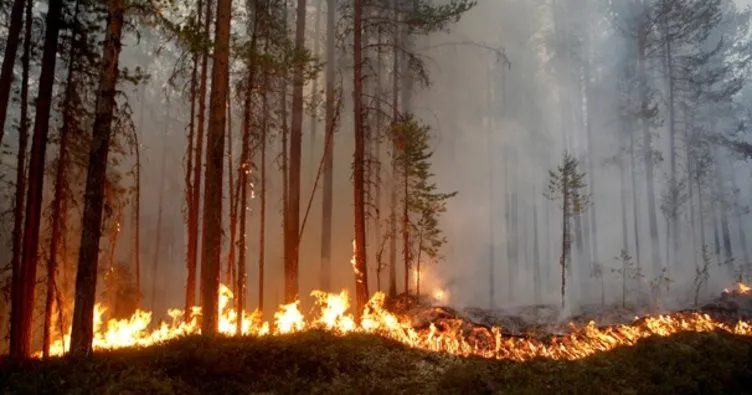 İsveç’te peş peşe orman yangınları