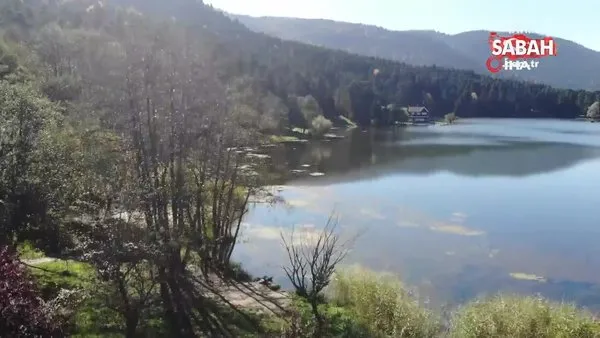Gölcük Tabiat Park'ında sonbahar güzelliği mest etti | Video