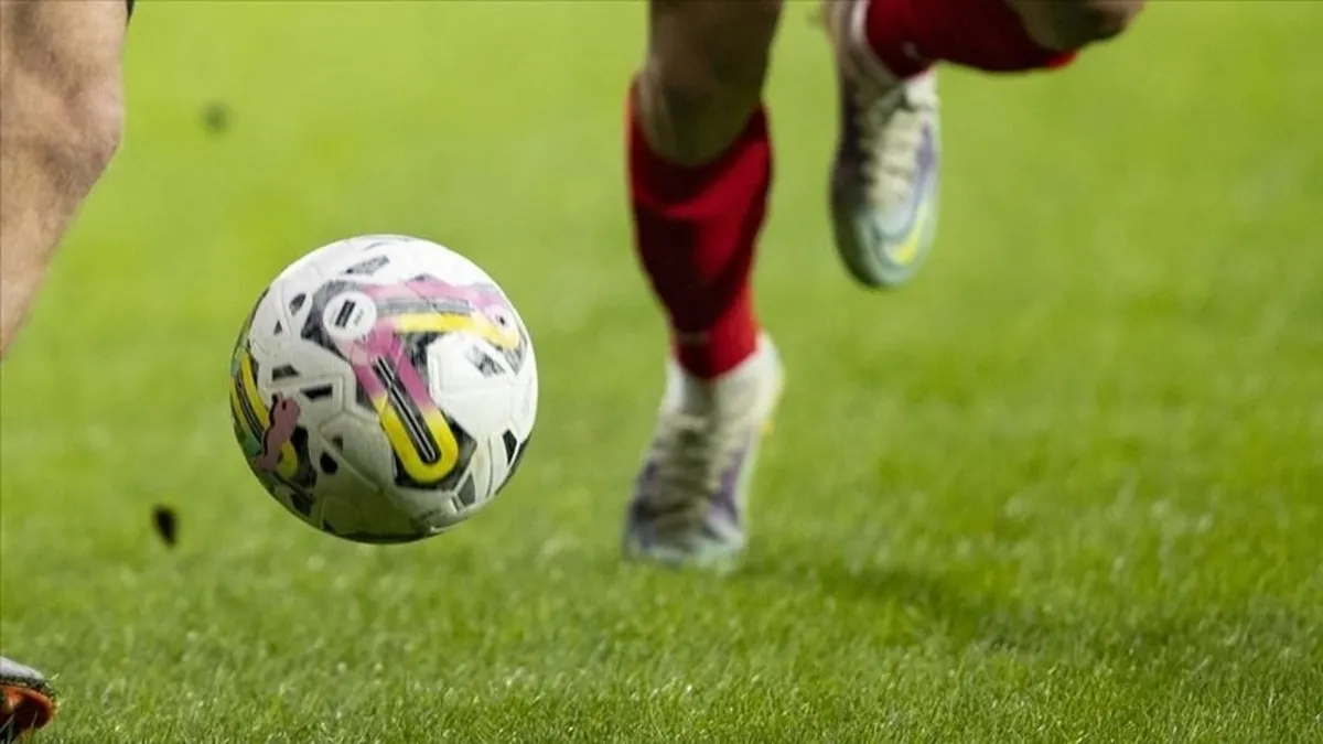 Türkiye Futbol Federasyonu logosu ve 1. Lig futbol topu görseli.