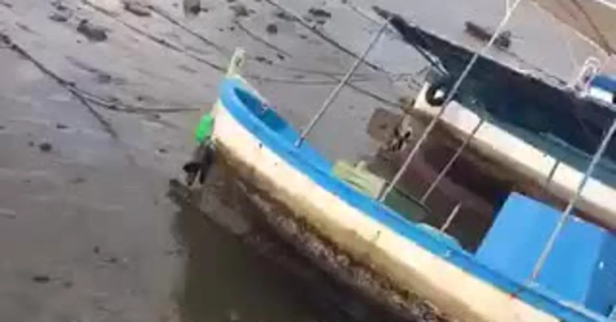 izmir de deniz 30 metre geri cekildi video