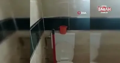 Yüzünü yıkamak istedi, banyosunda yılanla karşılaştı | Video