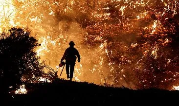 California 5 haftadır yanıyor! Validen flaş talep: ’Büyük Afet’