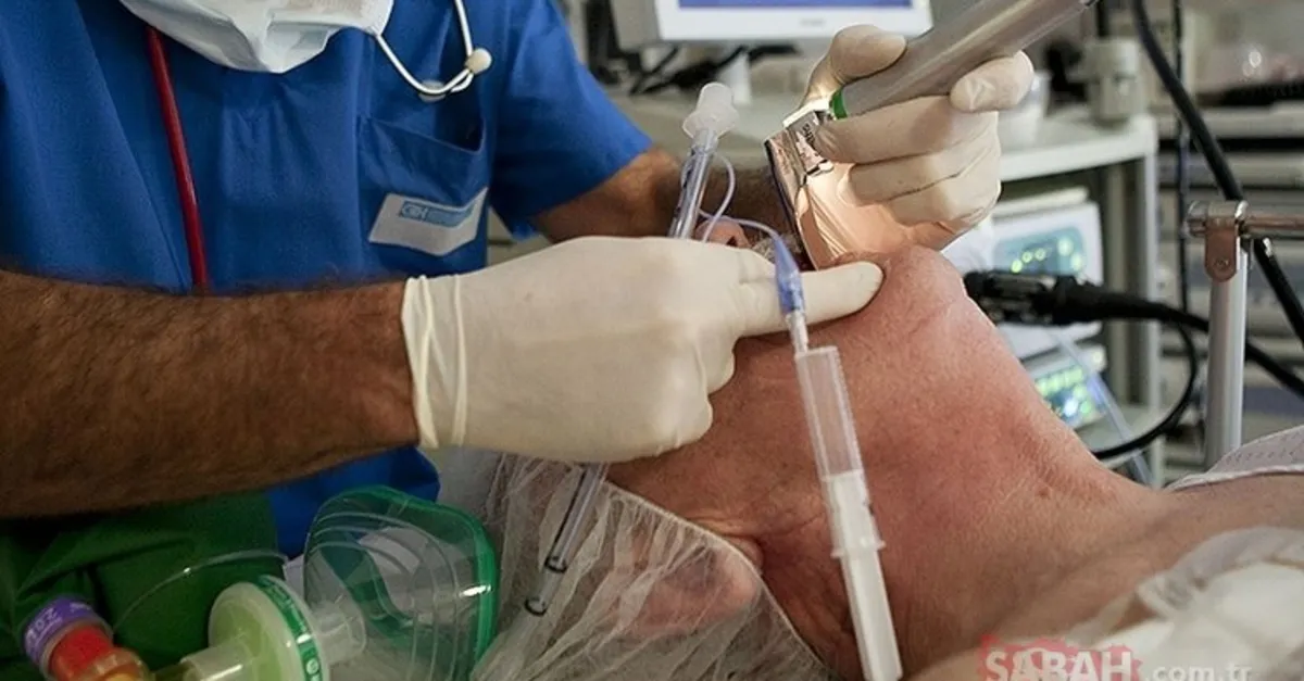 entube nedir ne anlama gelir entube etmek nedir ne demek entubasyon islemi nasil yapilir galeri saglik entube nedir ne anlama gelir entube etmek nedir ne demek entubasyon islemi nasil yapilir galeri saglik