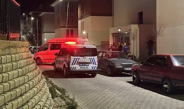Kayınpeder tartıştığı damadını öldürdü