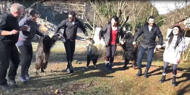 Keçiler horon halkasına girerse