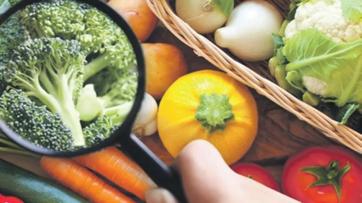 2026 reform yılı olacak