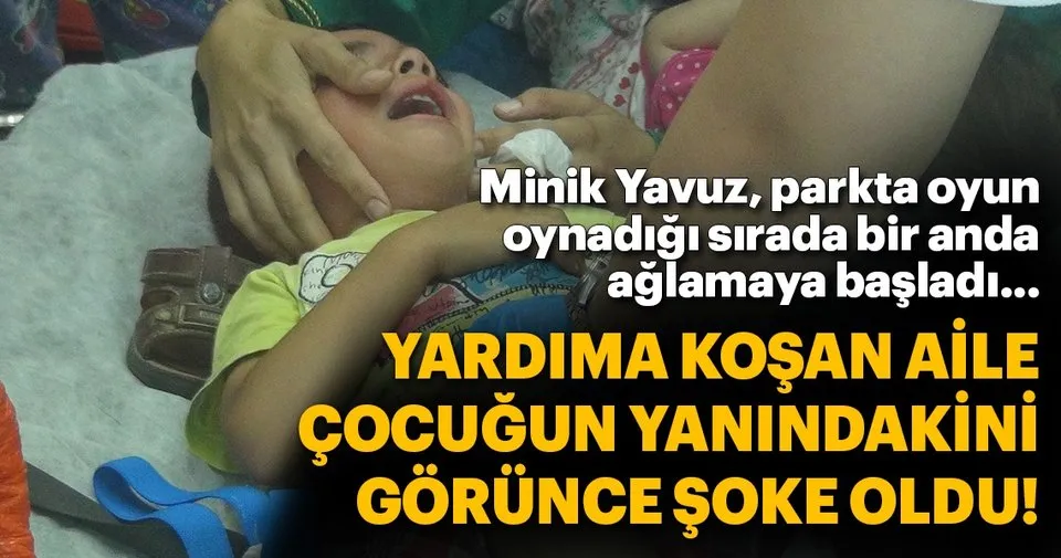 parkta oynayan cocugu yilan isirdi