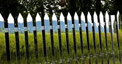 Dünyadan ilginç kareler!