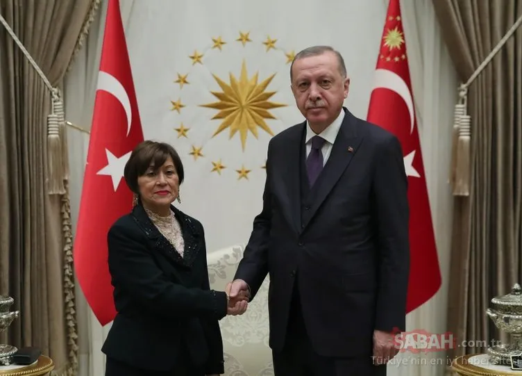 Başkan Erdoğan güven mektubu sunan büyükelçileri kabul etti