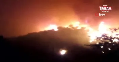 İtalya’da tabiat parkında yangın. Tahliyeler başladı | Video