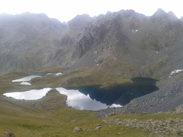 Doğu Karadeniz'de 117 tane var