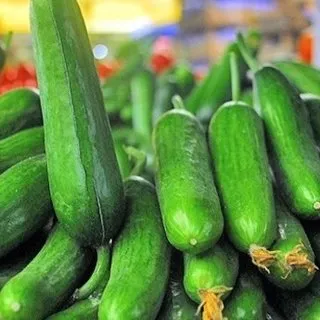 Salatalıkla 7 günde 7 kilo veriliyor