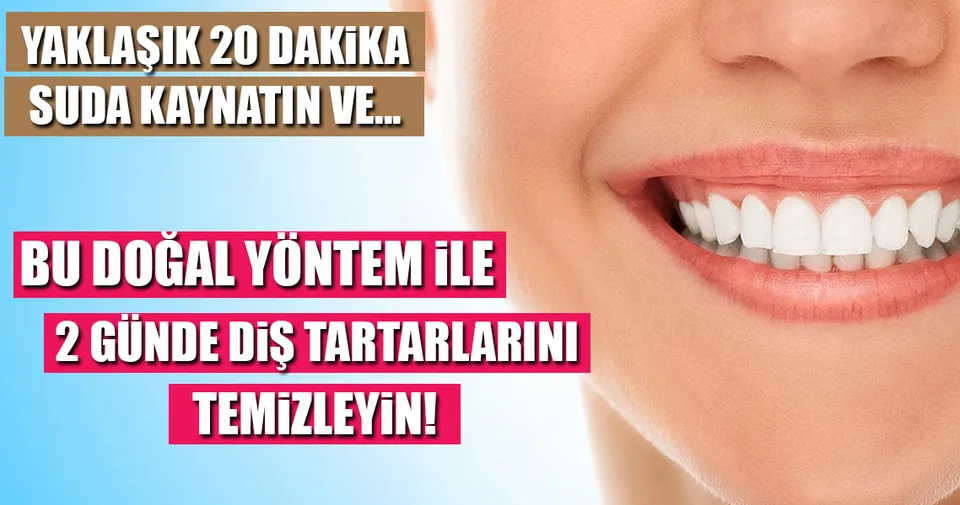 Ceviz Kabugu Ile Dis Temizleme Kuru Saglik Haberleri