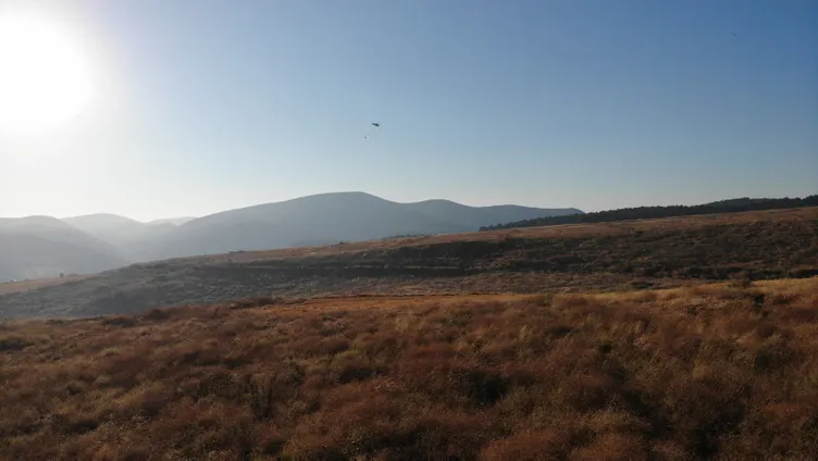 SON DAKİKA: Hatay, Mersin ve Çanakkale'de orman yangını! Alevlerle mücadele sürüyor: Bakanlar son bilançoyu açıkladı