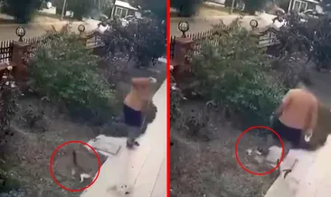 İzmir’de dehşete düşüren anlar! Vicdansız adam yavru kedilere tekme attı #izmir