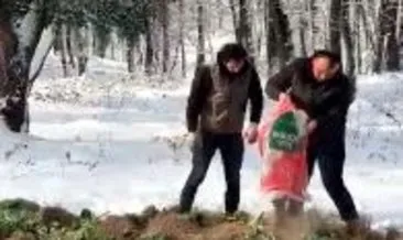 Yoğun kar nedeniyle doğaya 5 ton yem bırakıldı #istanbul